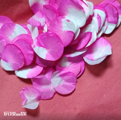 玫瑰与月季的区别在哪里图片(四大不同点一看就明白了了)-图片5